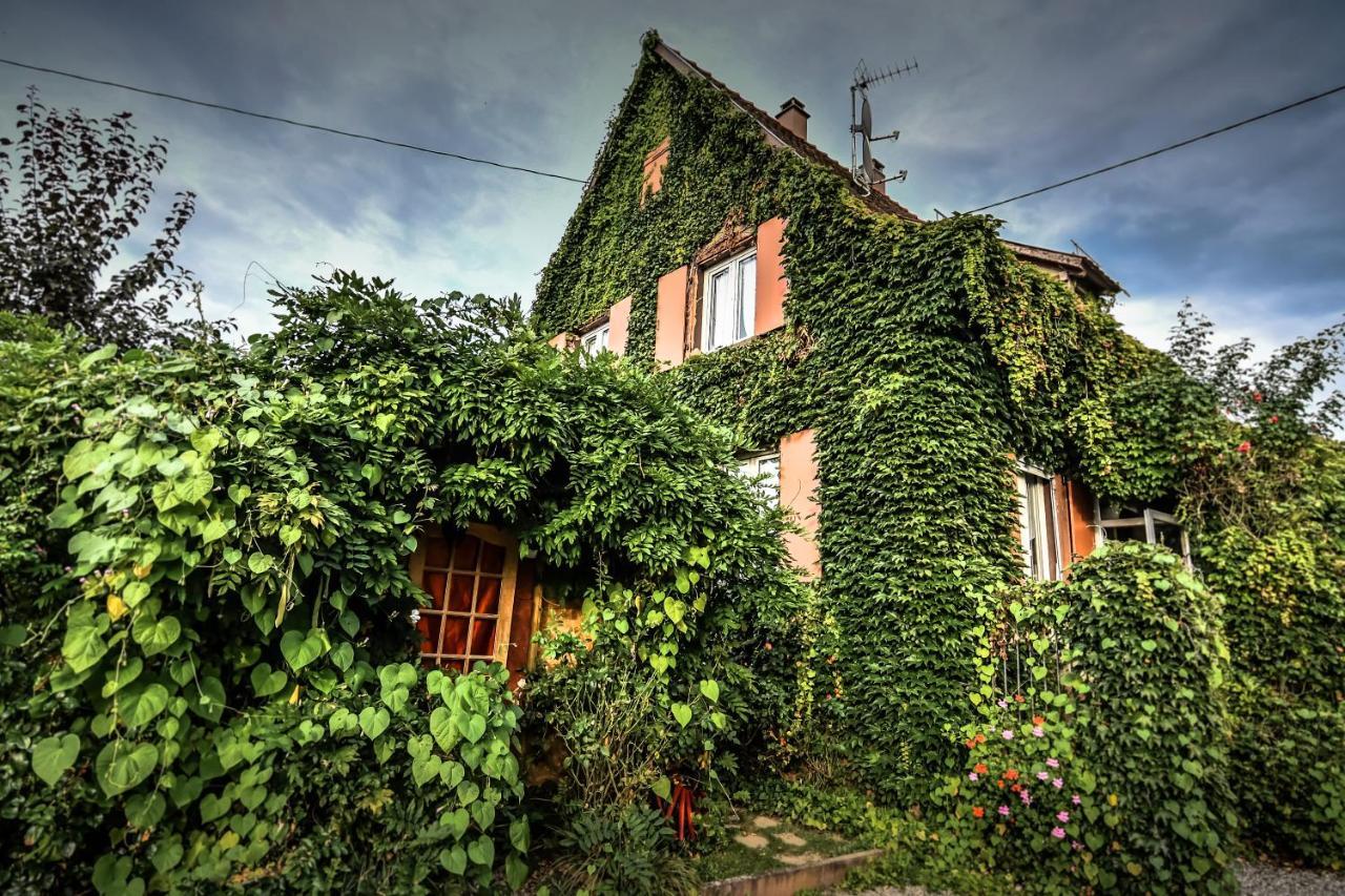 Ebersheim ❊ Au Murmure De L'Eau Au Coeur De L'Alsace ❊ المظهر الخارجي الصورة