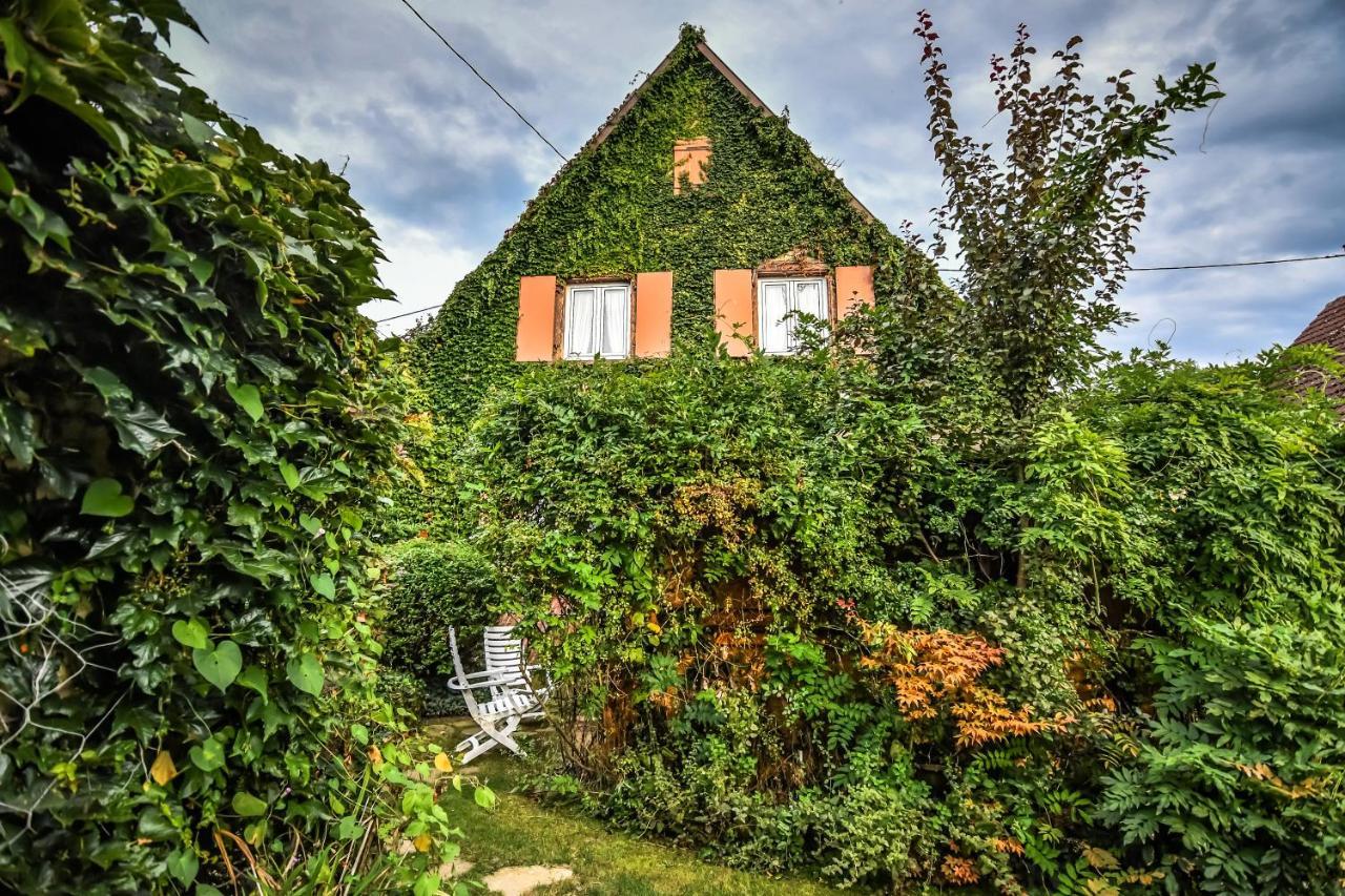 Ebersheim ❊ Au Murmure De L'Eau Au Coeur De L'Alsace ❊ المظهر الخارجي الصورة